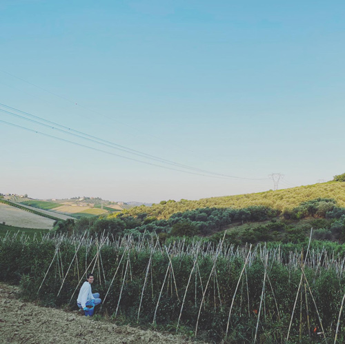 Un giorno le rape sono diventate troppe…..